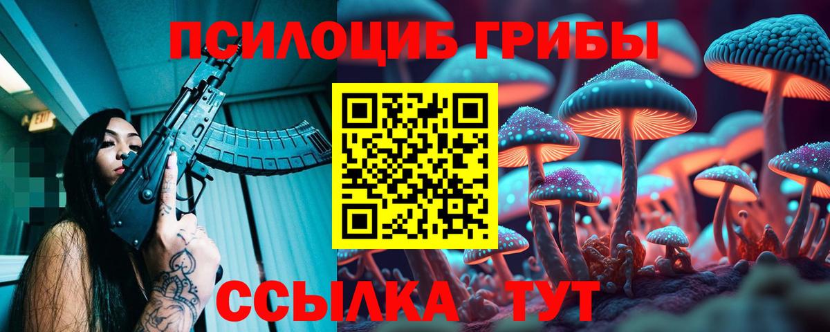 Чебаркуль  Псилоцибиновые грибы прущие грибы  Вход с VPN  Галлюциногенные грибы MAGIC MUSHROOMS 
