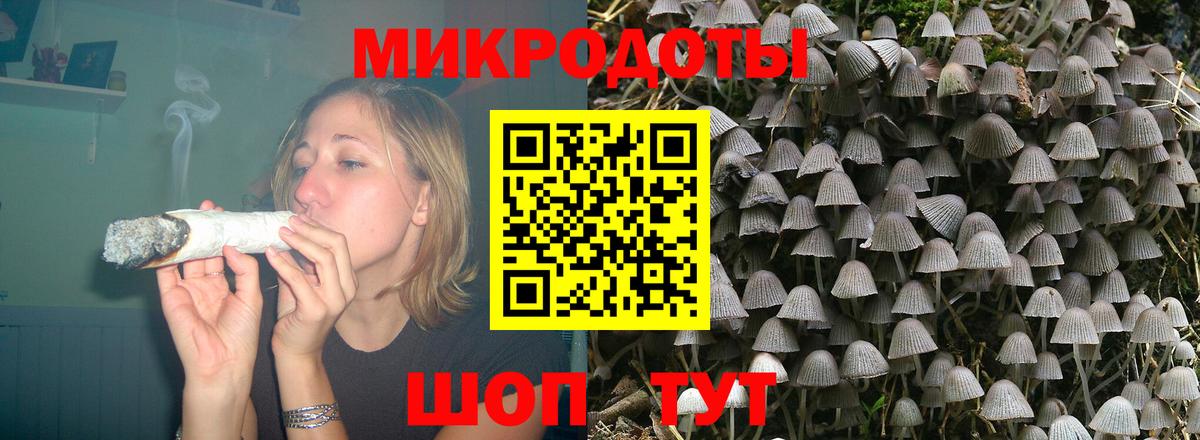 Псилоцибиновые грибы Psilocybe Чебаркуль